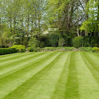 LAWN MOWING